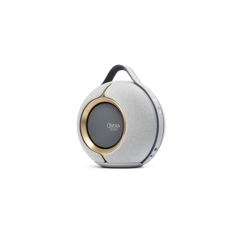 Enceinte Bluetooth Portable Devialet Mania